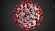 Big Spike In COVID-19 Cases Revealed In New CDC Data