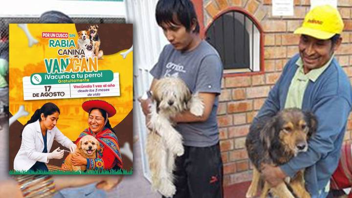 Próximo domingo en Cusco vacunación de mascotas contra la rabia