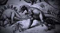 ‘Punk rocker’ dinosaur had long spikes, newly discovered fossils show
