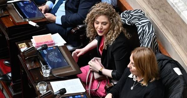 Se volvió a romper el oficialismo en Diputados: cuatro ex libertarios formarán el bloque “Coherencia”