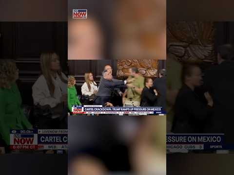 Fight breaks out between Mexican politicians