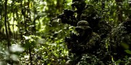 Uniformados en la mira: cómo los drones y la violencia selectiva elevan a cifras récord los asesinatos en Colombia