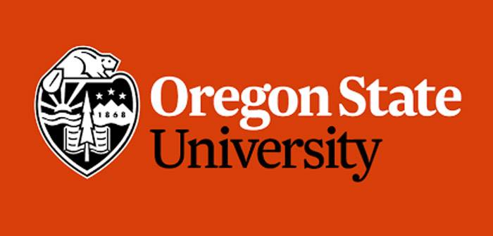 Looking Ahead from the OSU Career Development Center