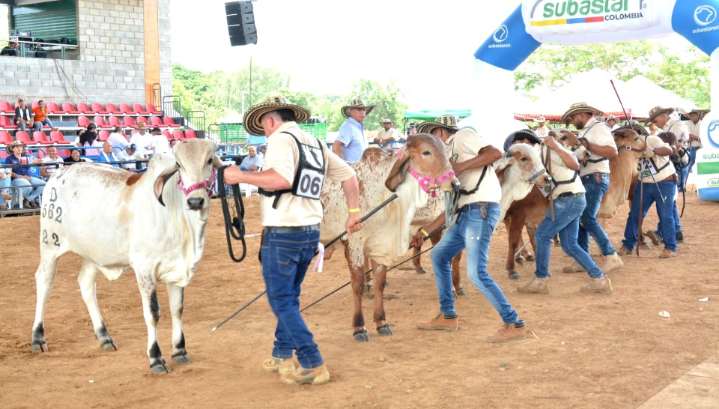 La 44ª Feria Ganadera y Agroindustrial de Valledupar presenta su programación oficial