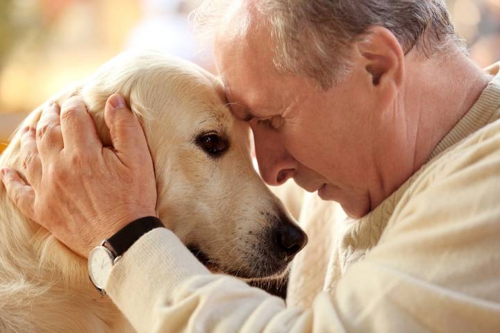 5 razas de perros que crean vínculos inquebrantables con sus dueños