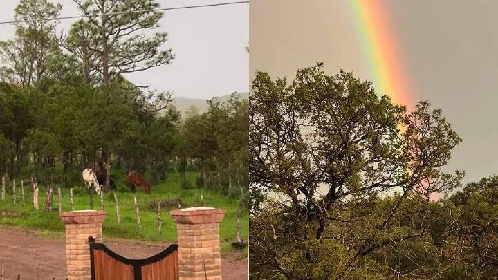 Cae lluvia y granizo en Yécora, pinta todo el panorama de verde