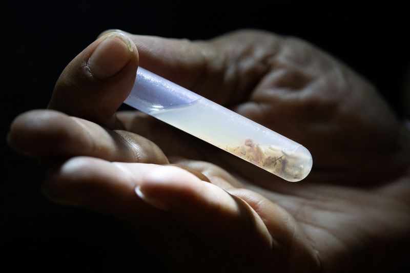 Mexican ranchers hit by flesh-eating screwworm want action on cattle smuggling