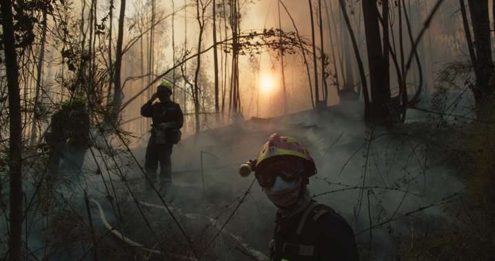 Cinco documentales chilenos imperdibles llegan al streaming