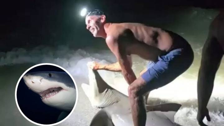 Pescador sufre ataque de tiburón que acababa de cazar; presumía su logro a la orilla del mar