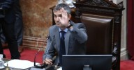 Martín Menem negó la veracidad de los audios de las presuntas coimas pero admitió vínculos con la firma Suizo Argentina