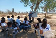 Tres años de clases bajo lonas: la realidad de una preparatoria en Cabo San Lucas