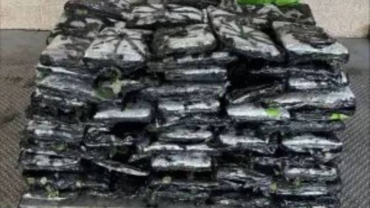 CBP incauta metanfetamina valuada en más de 7.6 mdd en cargamento de rosas de México a EU