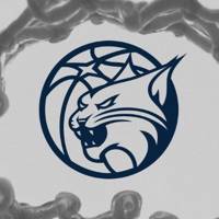 Williams scores 26, McBride hits 3-pointer with 30.8 seconds left as Lynx beat Liberty 86