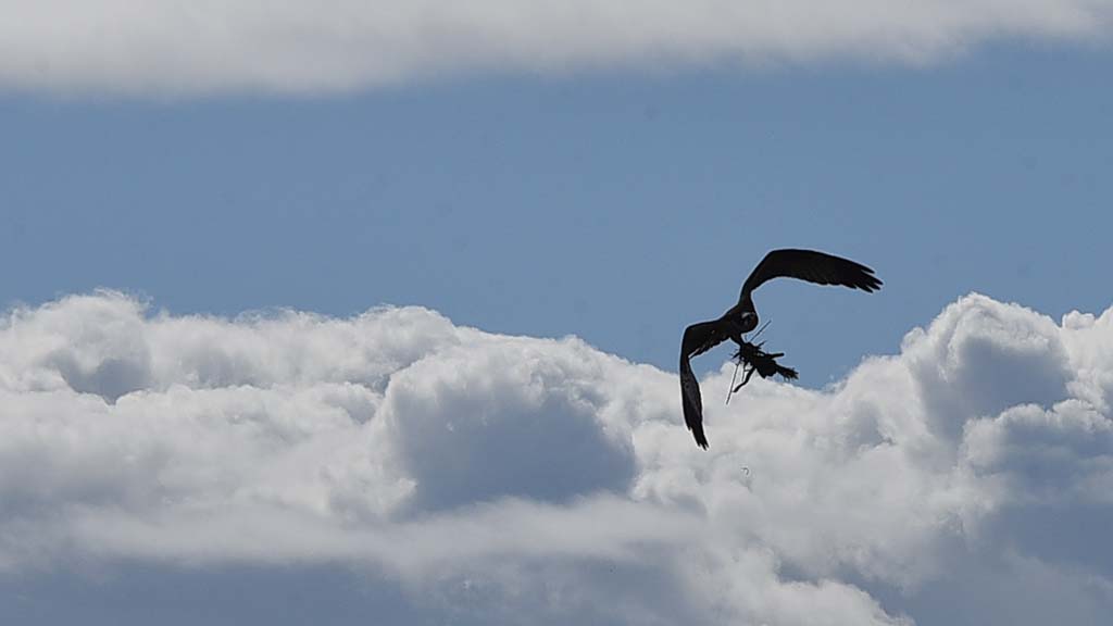 San Diego County to see heat wave, chance of thunderstorms by week's end