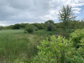 Kingston environmentalists call on the city to hire hydrogeologist