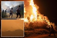 Spain deploys military to battle 20 major wildfires across country as heat wave ravages southern Europe