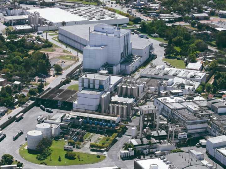 Mastellone, la empresa que le cambió la cara a las usinas lácteas