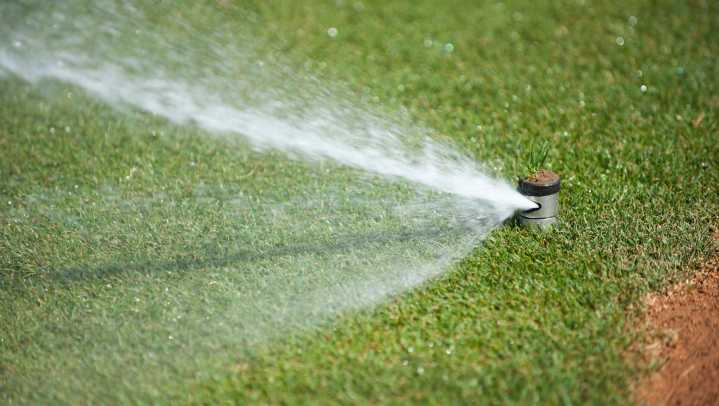 Hose or sprinkler: what is better to water the garden? Here are 9 tips