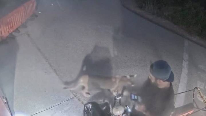 Man has close encounter with people in Malibu