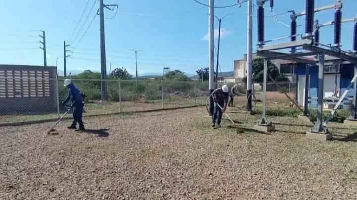 Falcón se suma al Plan Nacional de Control de Vegetación en redes eléctricas