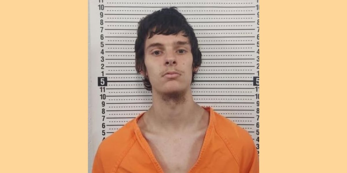Arrest made in stolen vehicle case in Scott County