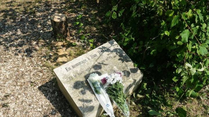 French leader Macron vows justice after unknown attackers chop down tree honoring murdered Jew