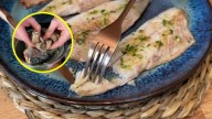 ¿Cómo identificar el "falso jurel"?: Estas son las cinco marcas en la mira de la Seremi de Salud
