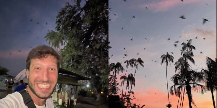 Mochilero llegó a Leticia, Amazonas, y quedó impactado por un espectáculo natural único: “Los momentos más mágicos en mi viaje”