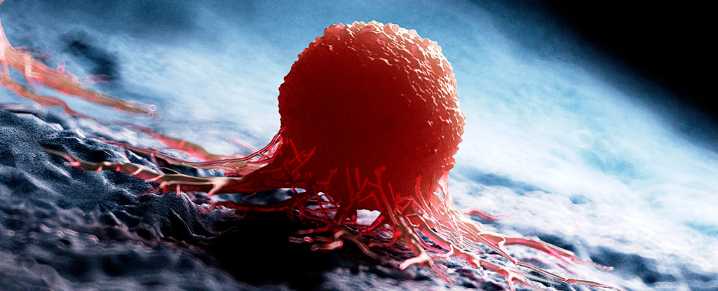 'Universal' Cancer Vaccine Destroys Resistant Tumors in Mice