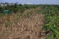 Vietnam aguarda llegada del tifón Kajiki con plan para evacuar a medio millón de personas