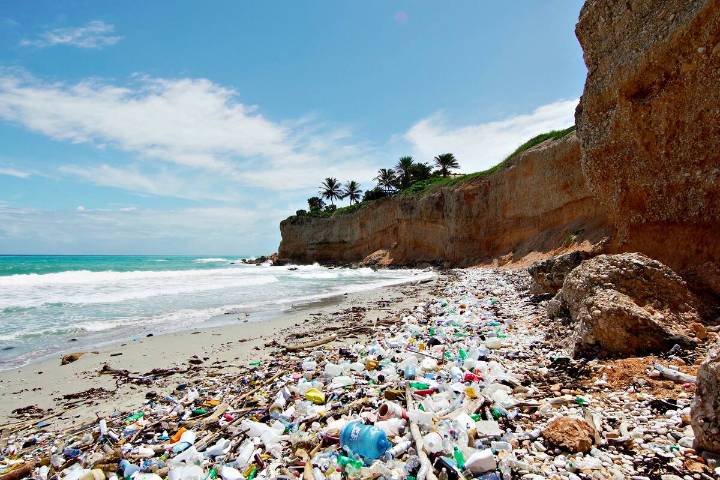 Contaminación de los océanos. Naufragó el consenso mundial para lograr un tratado sobre uso y producción de plástico