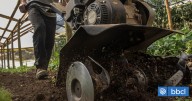 Suspenden faenas de empresa agrícola en Victoria por graves incumplimientos sanitarios