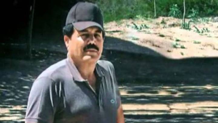 ‘El Mayo’ Mexican drug lord pleads guilty to drug trafficking