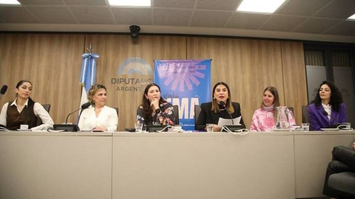 "Ley Ema": el proyecto que busca prevenir la violencia digital tras el caso de la adolescente que se quitó la vida