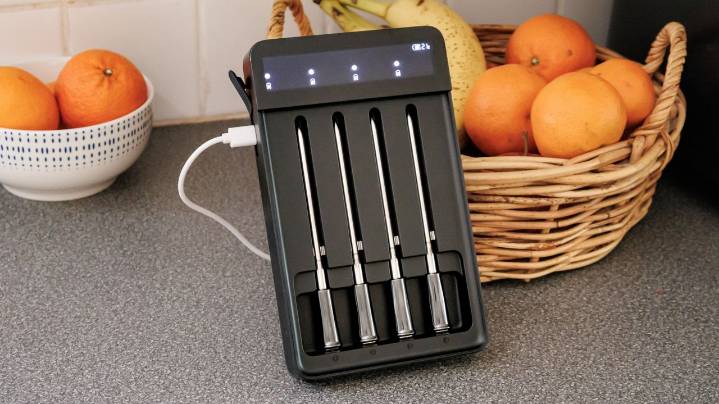 I tested GoveeLife’s 4-probe smart meat thermometer — and it's an affordable way to perfectly cook multiple meats at once