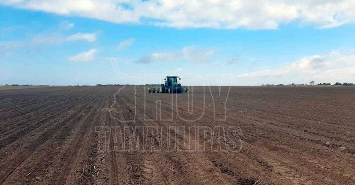 Sequía y falta de apoyos: el campo de Tamaulipas en su década más crítica