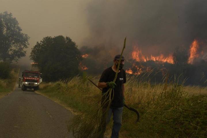 27 arrestos y más de 80 investigaciones por incendios forestales desde junio