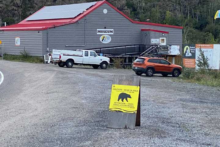Bear sightings reported near Giant Mine