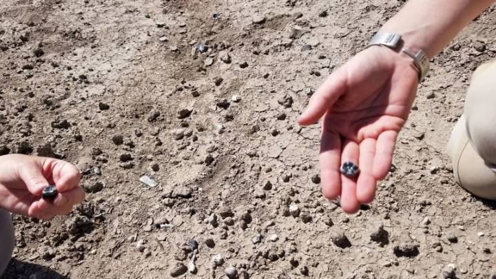 Fossils show two types of ancient human ancestors lived at the same place and time. One was possibly an unknown species