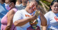 Missing New Orleans boy drowned after 'blunt force trauma' by an alligator