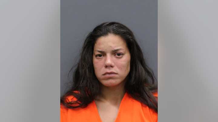Woman arrested for animal cruelty and child neglect. Deputies say she lied about dogs abandoned at gas station.