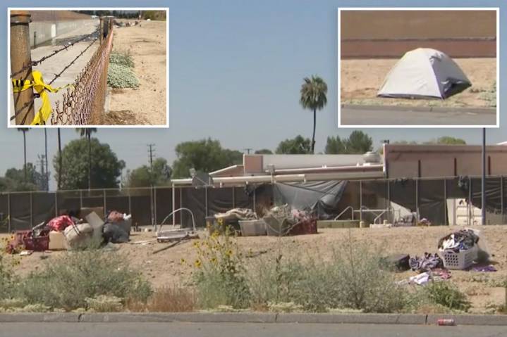 Pack of stray dogs kills woman near California park