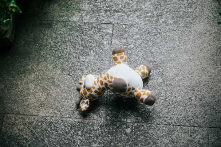 What a Stuffed Giraffe Can Teach You About Scaling Service
