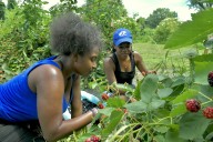 North County farm secures major investment to expand food access, local farming