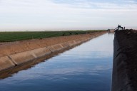 California farms face pressure to boost efficiency as water supply declines