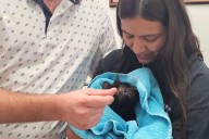Cat Missing Since July 4 Texas Floods Reunites with Owners