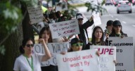 Unpaid work for flight attendants could be on the way out as union declares win