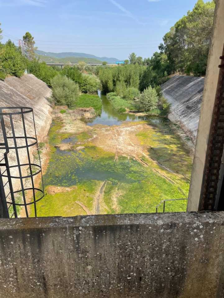 Agua estancada y olor intenso: acusan a la Confederación del Tajo de «abandonar» el canal de Entrepeñas