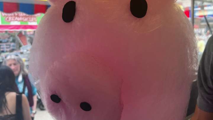 See the unique cotton candy art at the Iowa State Fair
