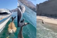 VIDEO: Pescadores rescatan a un venado en el Mar de Cortés